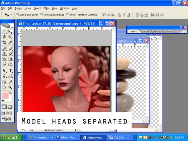 Creation of Female heads: Step 4